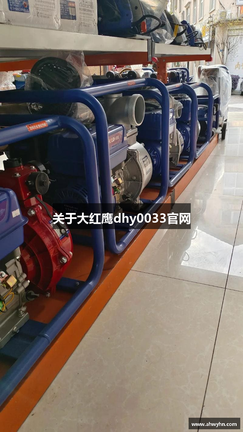 关于大红鹰dhy0033官网